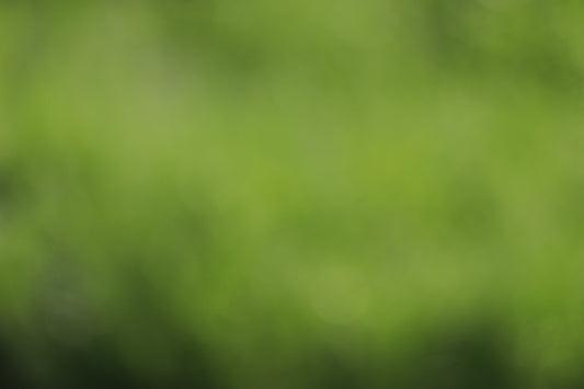 green and white striped textile