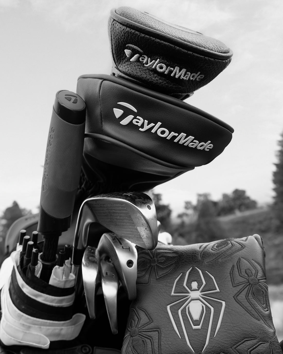 Golf clubs with TaylorMade headcovers and a spider emblem cover in a bag